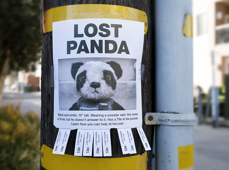 lost-panda